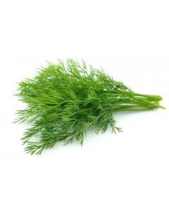  Vegetables and Fruits - Dill (1 Bunch)