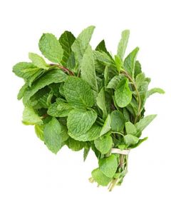 Vegetables and Fruits - Mint (1 Bunch)