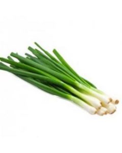 Vegetables and Fruits - Fresh (1) Bunch of Green Onions 