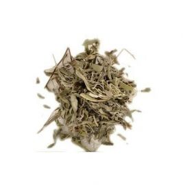 robinfood-sagetea