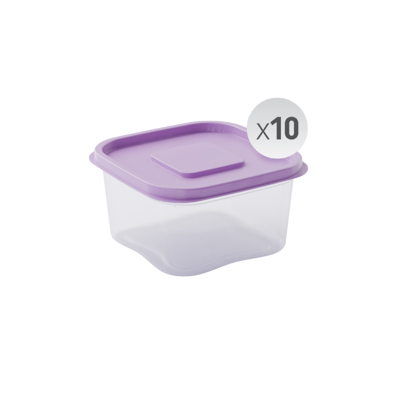 nestive home Food Container Set - 10 x 500ml