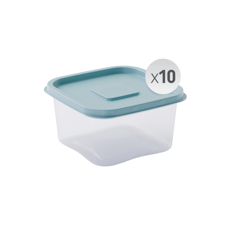 nestive home Food Container Set - 10 x 885ml