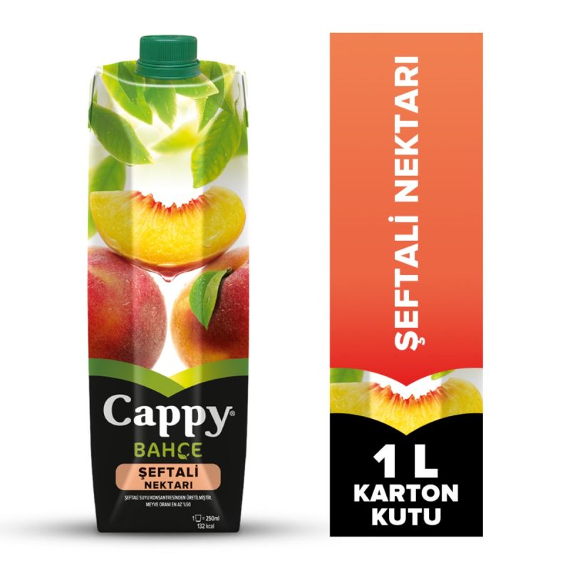 Dimes Peach Nectar – 1 L