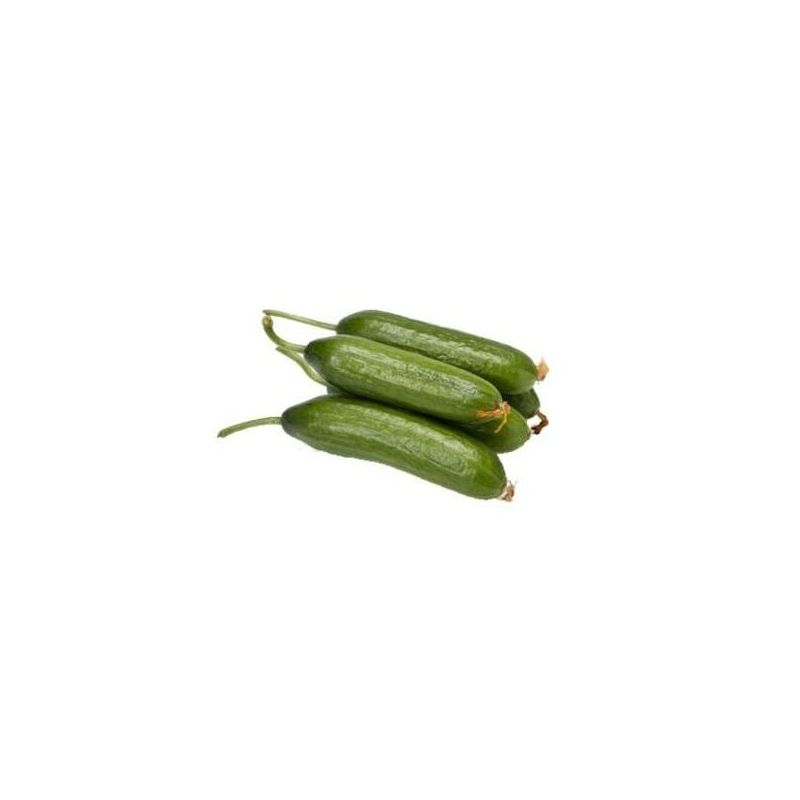 Fresh Produce – Mini Cucumbers – 500 g