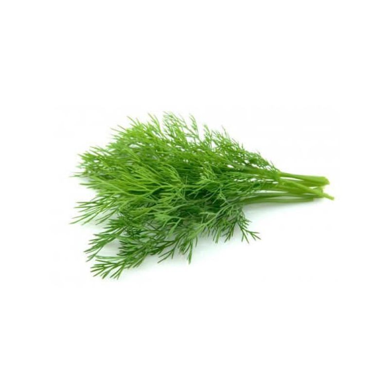 Fresh Produce – Dill – 1 Bunch