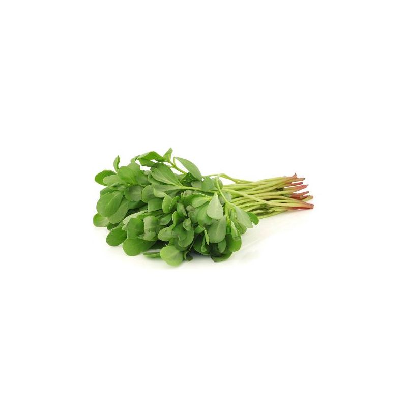Purslane – 120 g