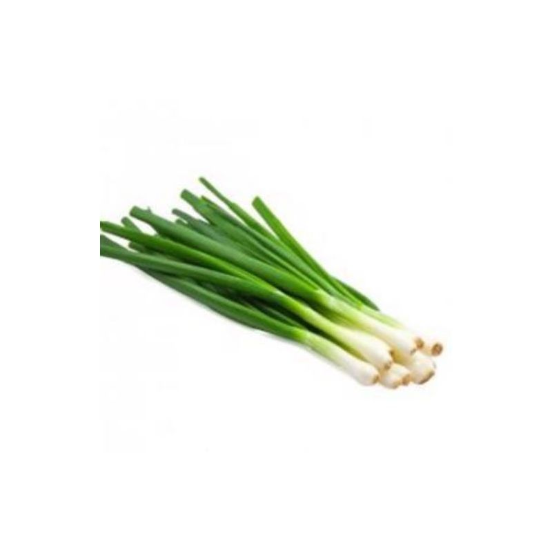 Fresh Produce – Spring Onions – 1 Bunch