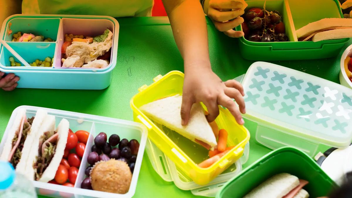 Child helping to pack colourful halal lunchboxes with sandwiches, tomatoes and grapes